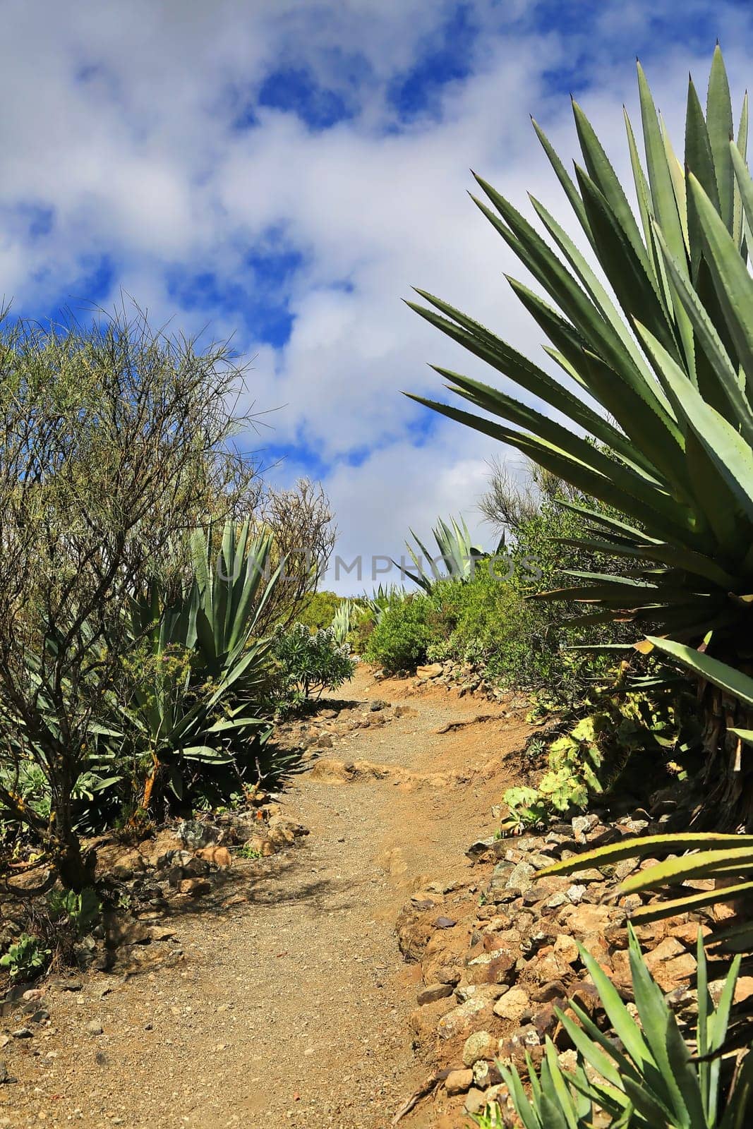 Bandama Crater is an extinct volcano on gran canaria