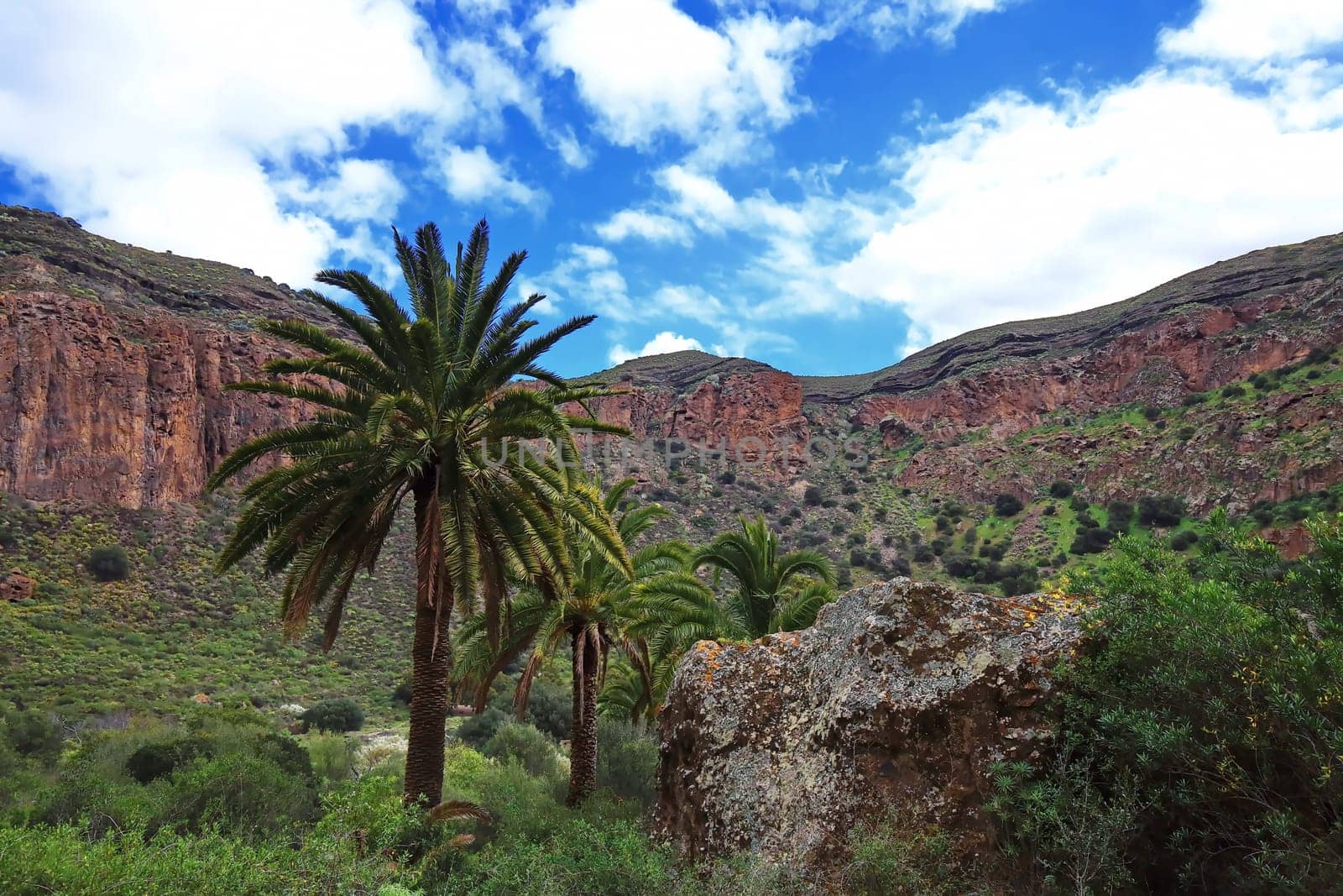 Bandama Crater is an extinct volcano on gran canaria