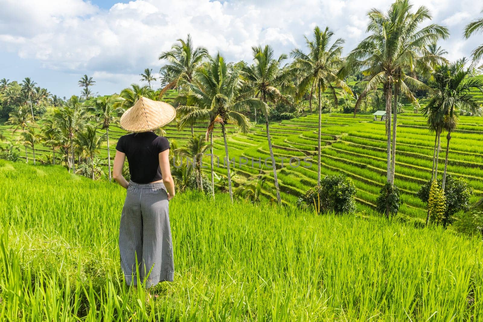 Relaxed fashionable caucasian female tourist wearing small backpack and traditional asian paddy hat looking at beautiful green rice fields and terraces on Bali island.