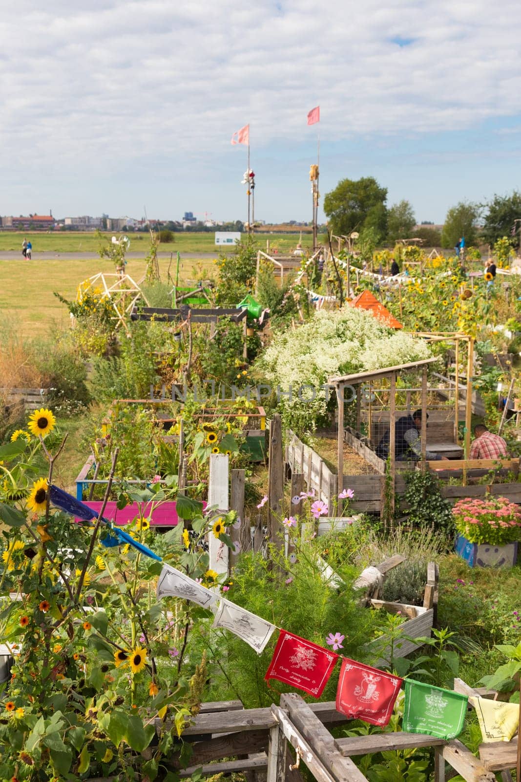 BERLIN, GERMANY- Sep 28, 2016: Urban gardening at Tempelhofer field, once airport, now a public park in Berlin, Germany, on 28th of september, 2016.