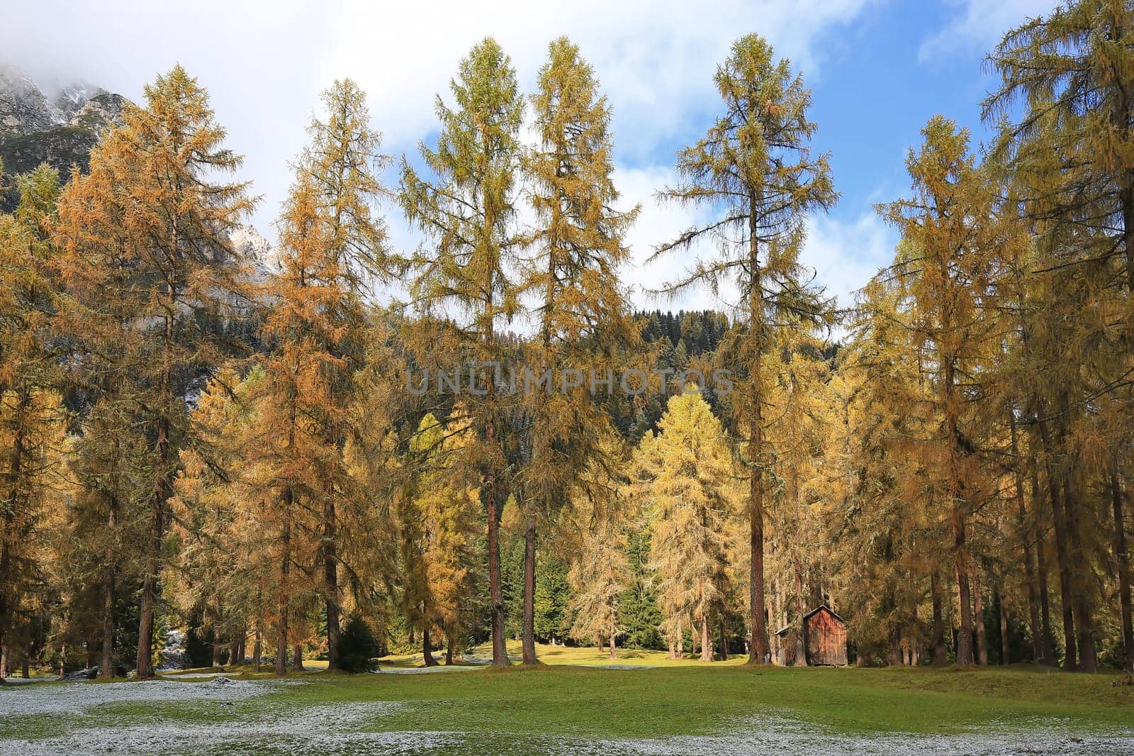 Fischleinbachtal is a place in the Dolomites