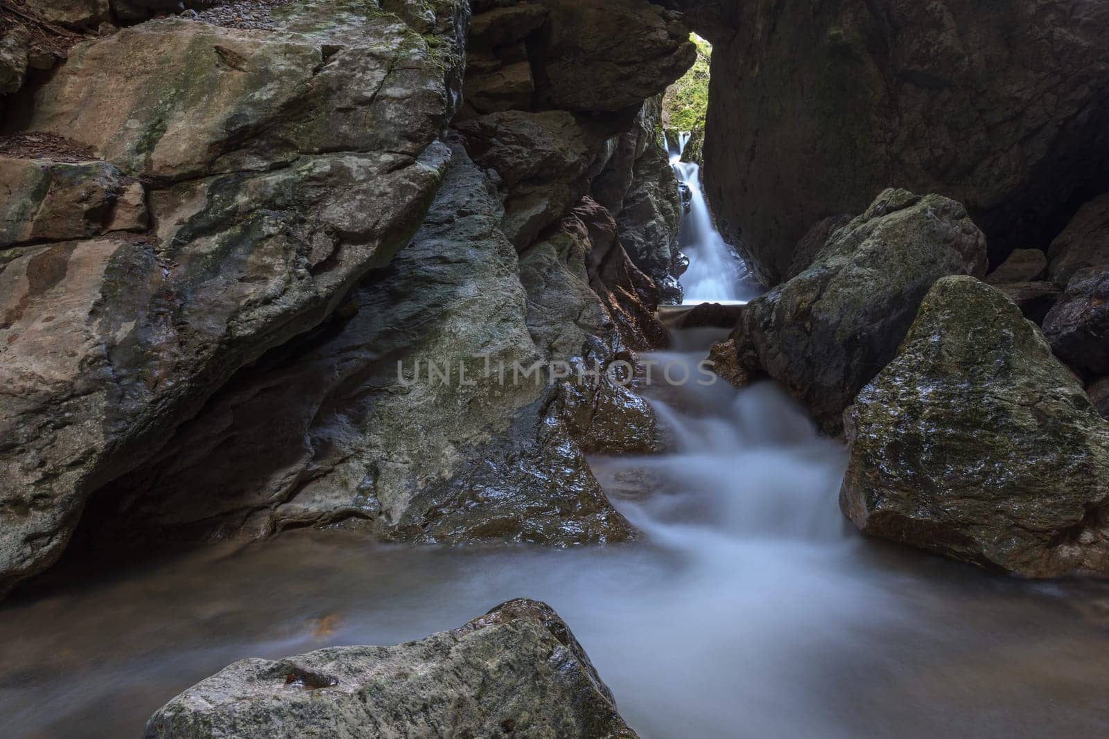 stream Ponicova in Ciucaru Mare Mountains, Romania