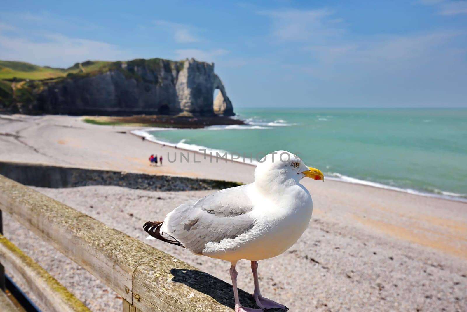 Etretat on the coast of France with wonderful landscapes