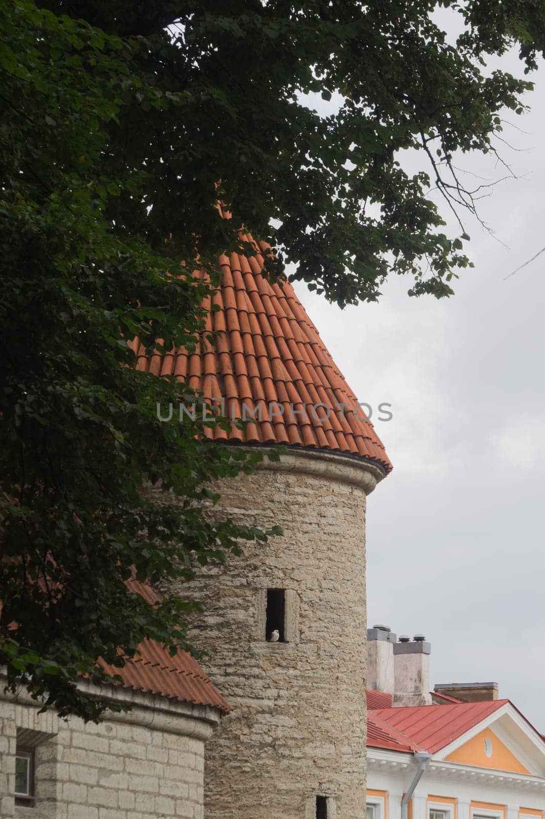 Old city historical street Tallinn Estonia