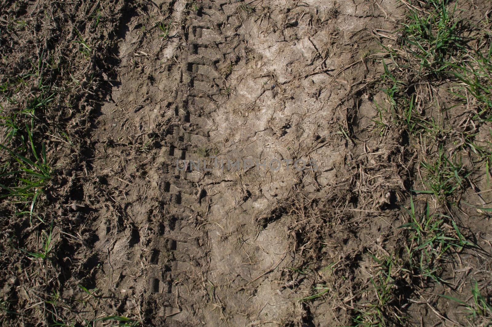 tire track on the ground texture background