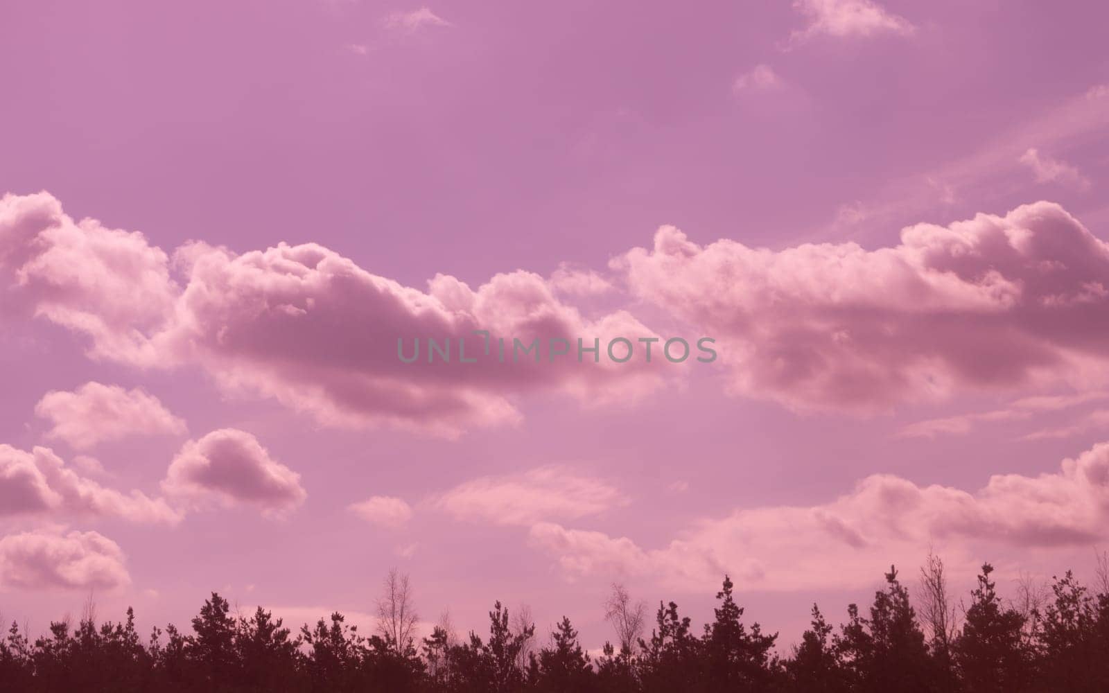 Sky clouds purple background