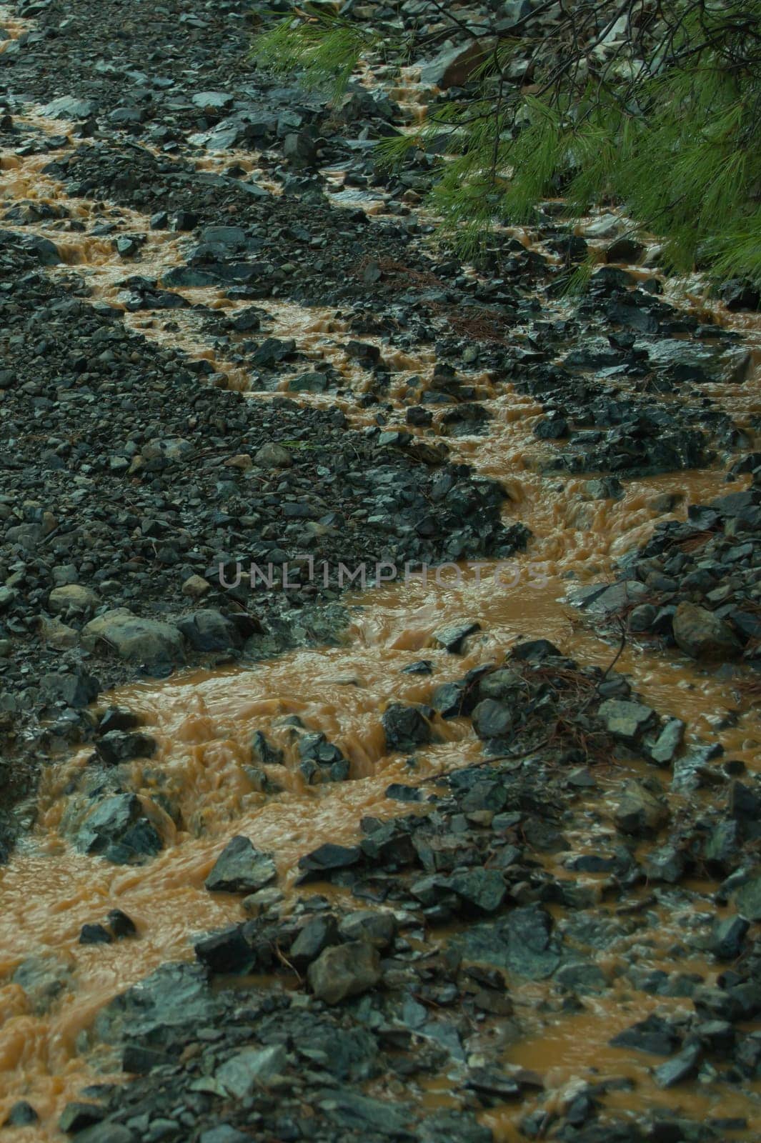 Mountain dirt road with a creek