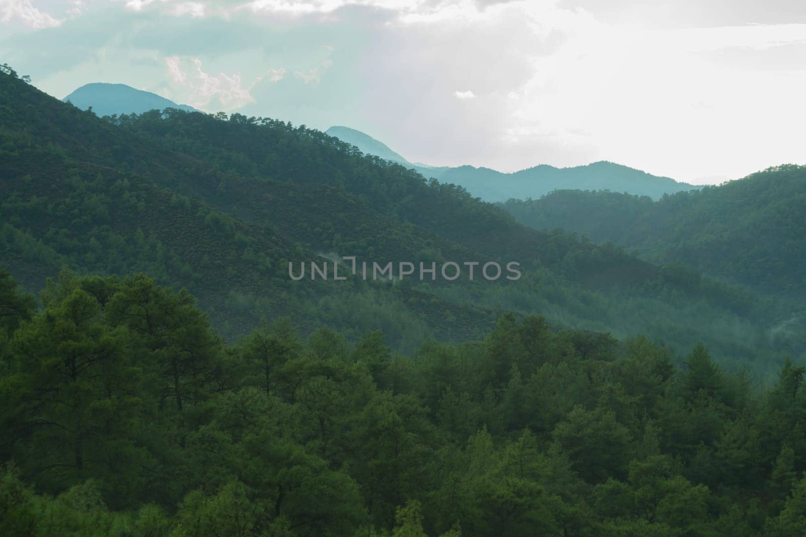 Mountain landscape with forest background