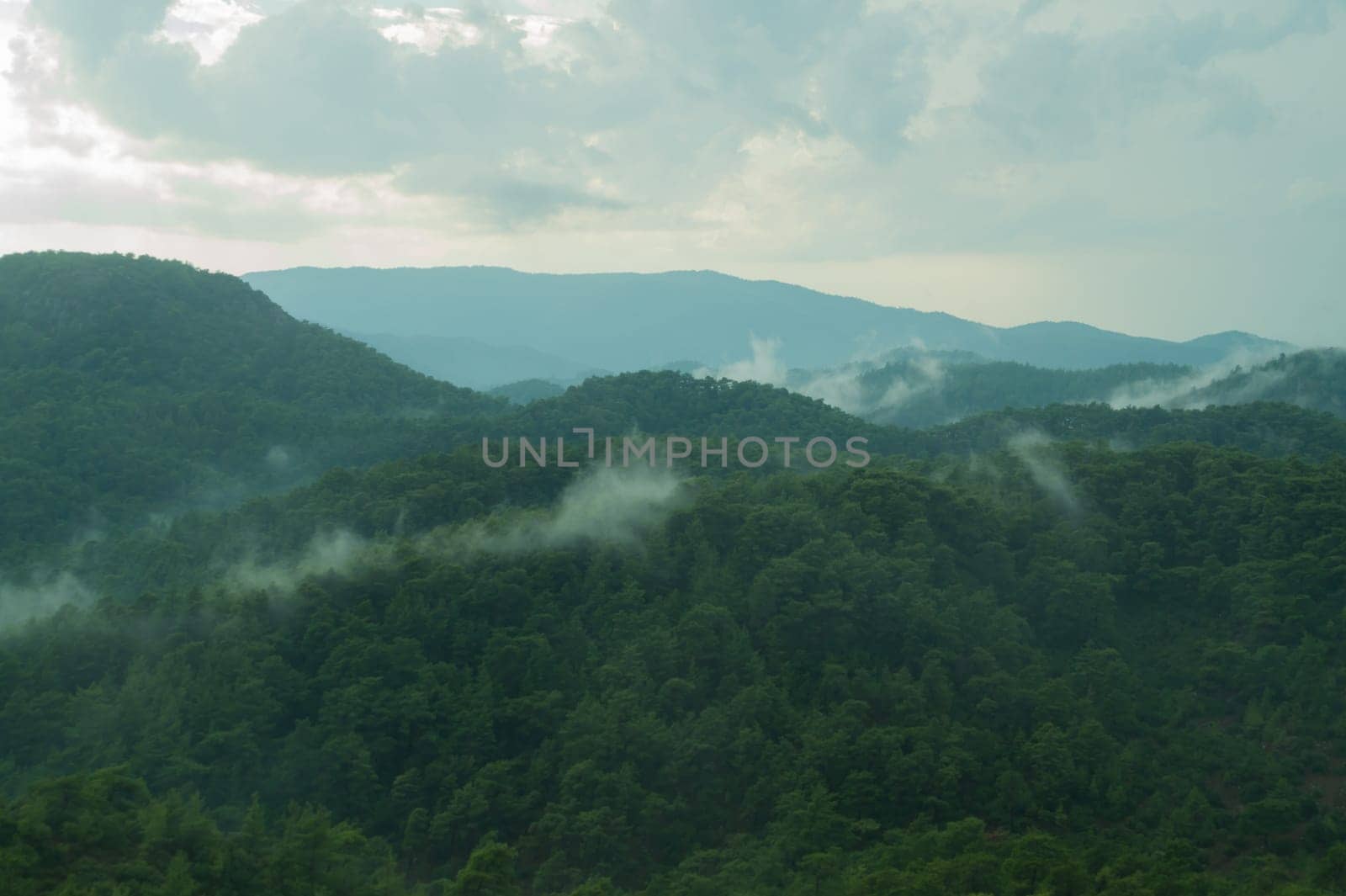 Mountain landscape with forest background
