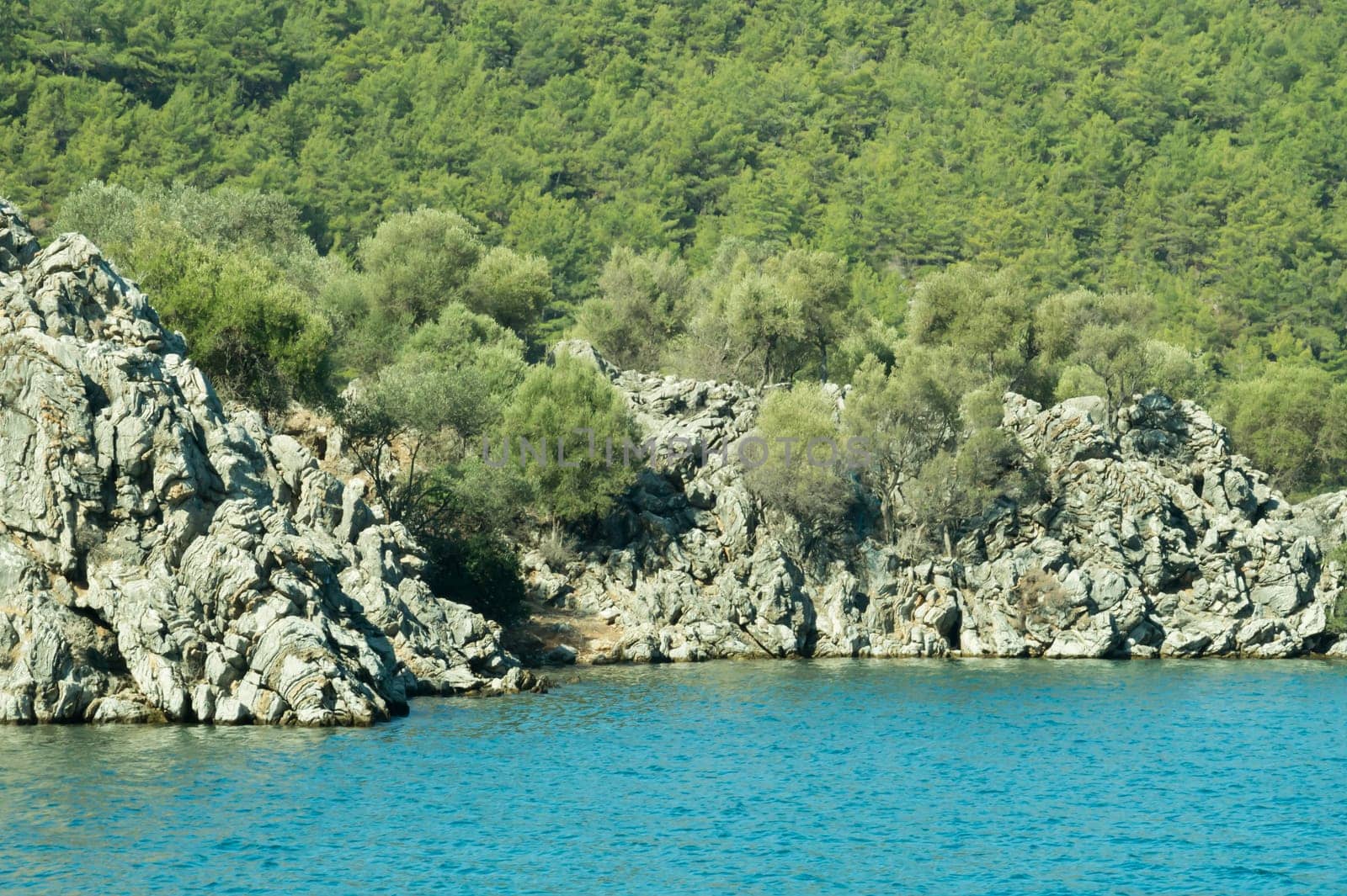 Mountain and sea coastline background