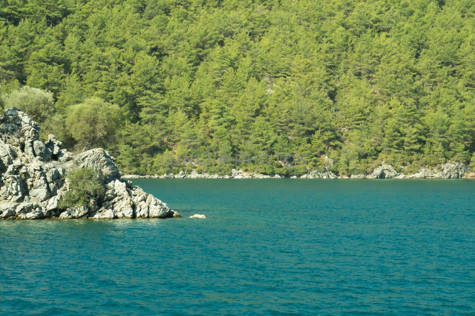 Mountain and sea coastline background