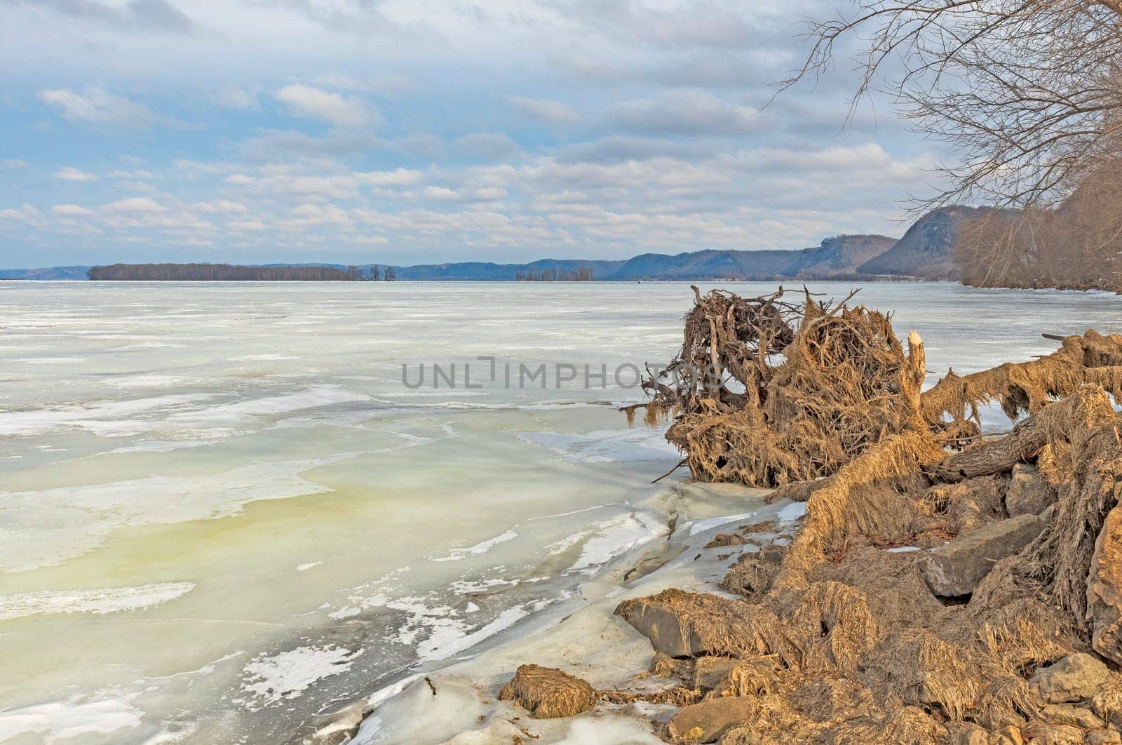 Shore View along the Frozen Mississippi River in Winter near Lynxville, Wisconsin