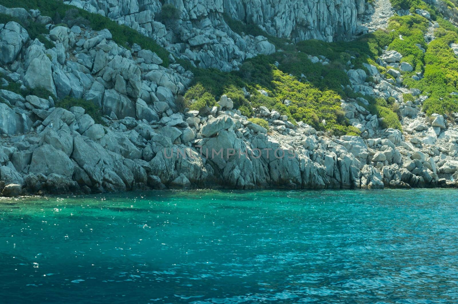 Mountain and sea. coastline with the overgrown rock background