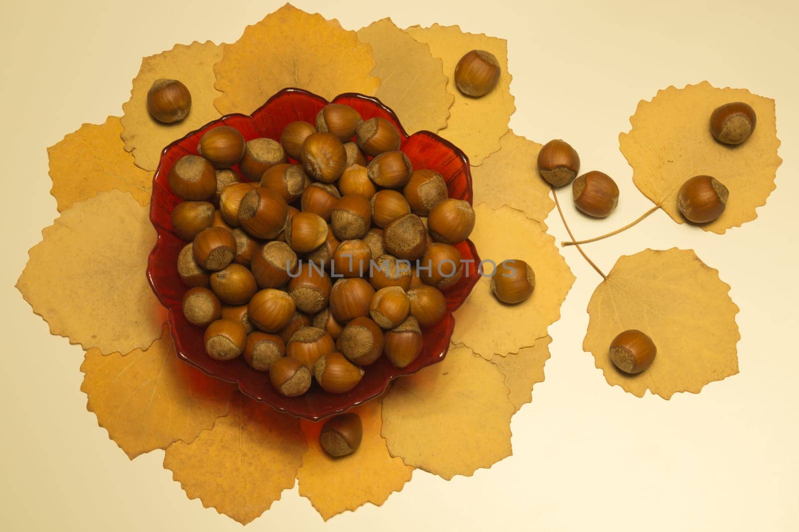 Hazelnuts in a bowl with leaves. autumn background