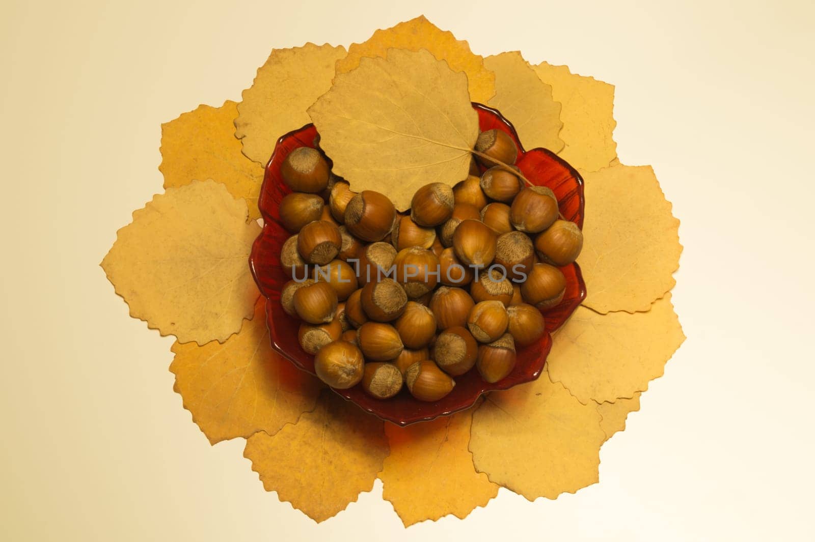 Hazelnuts in a bowl with leaves. autumn background