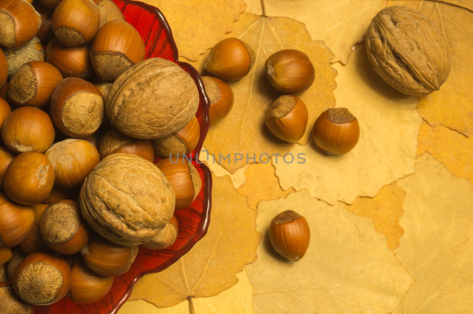 Hazelnuts and walnuts with autumn leaves background