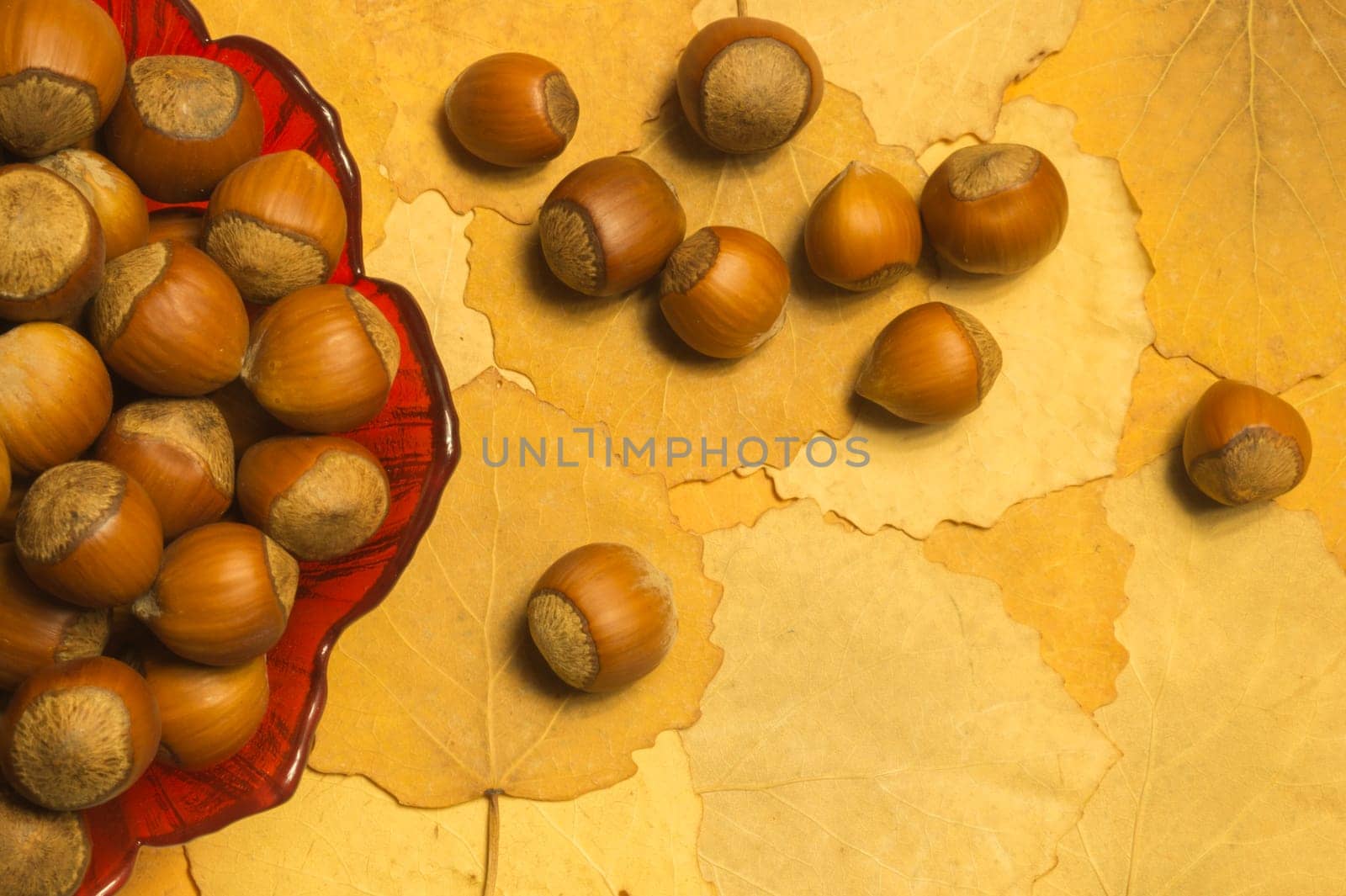 Hazelnuts with autumn leaves background
