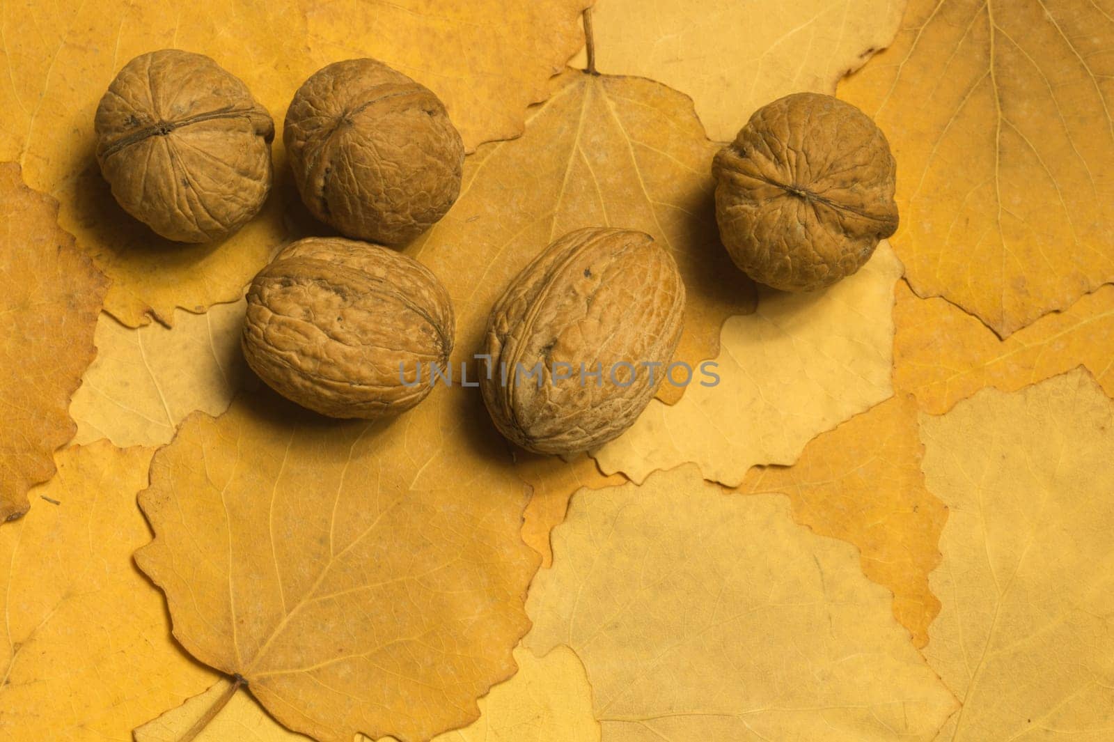 Walnuts with autumn leaves background