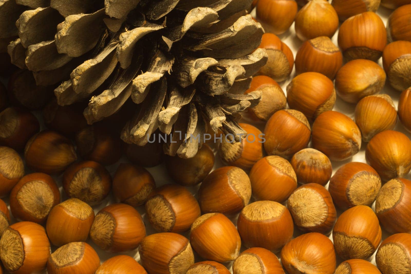 Cone and hazelnuts macro background
