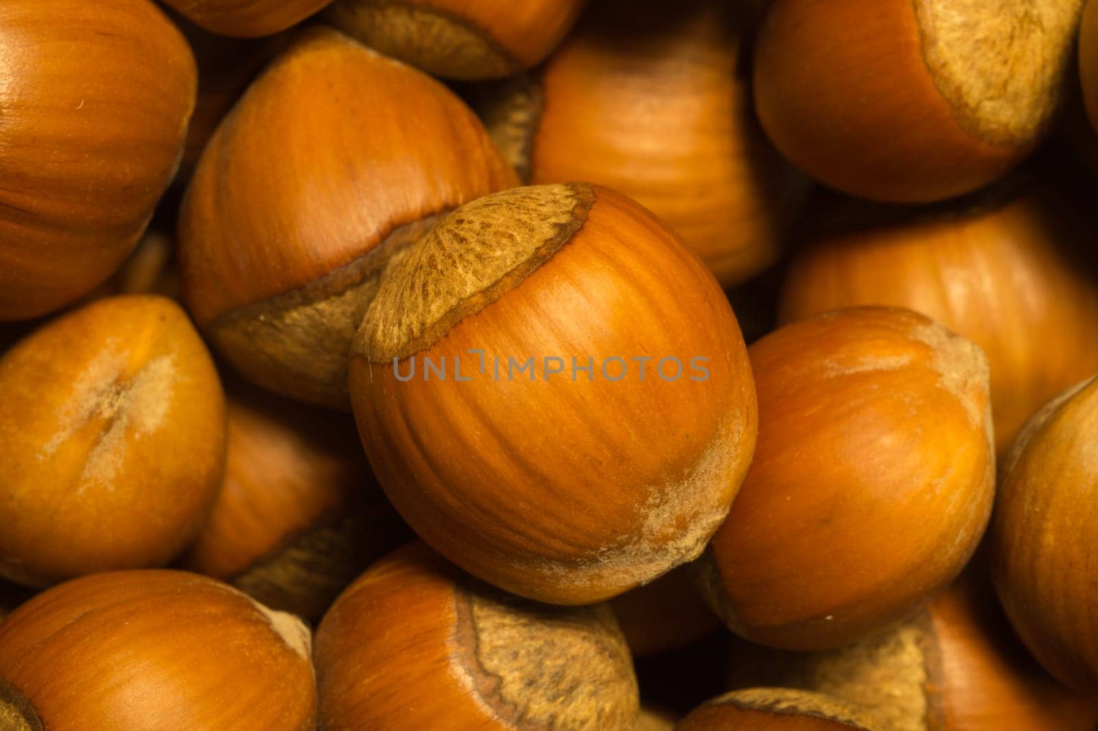 Hazelnuts texture background. filbert. nuts macro