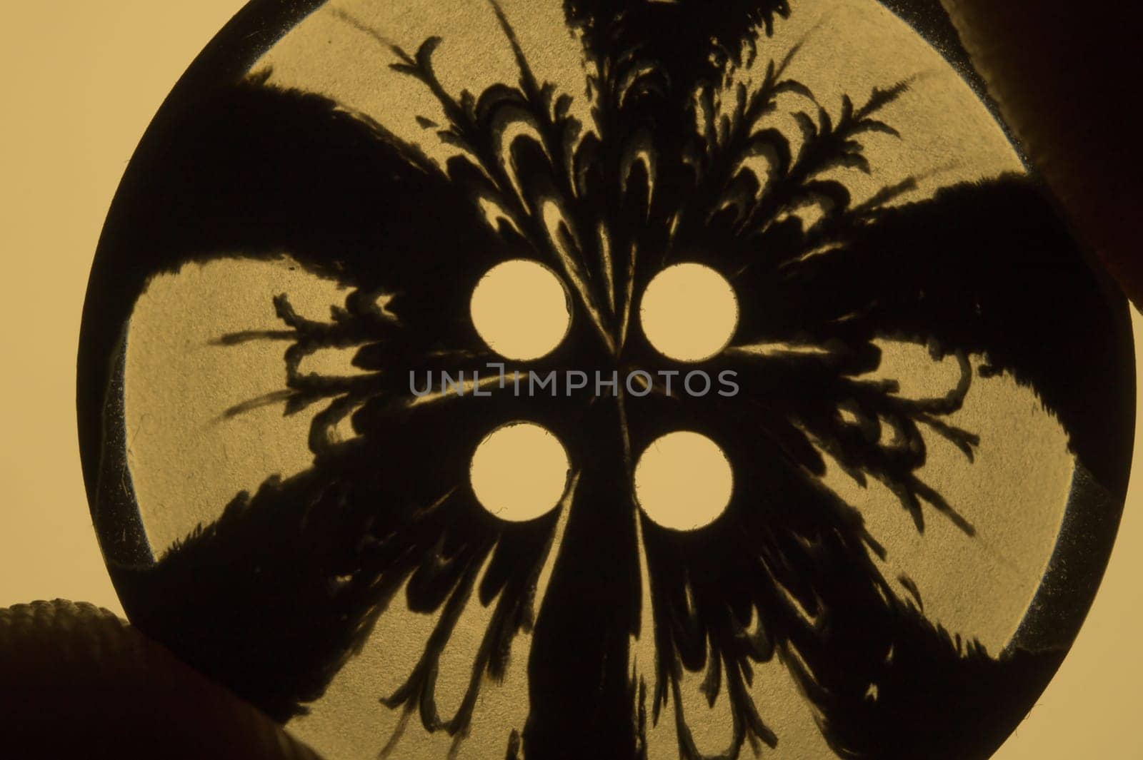 Transparent button with pattern. macro view. black silhouette