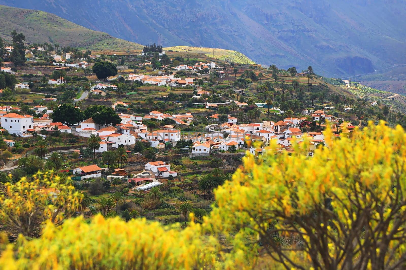 Fataga is a municipality on the island of Gran Canaria