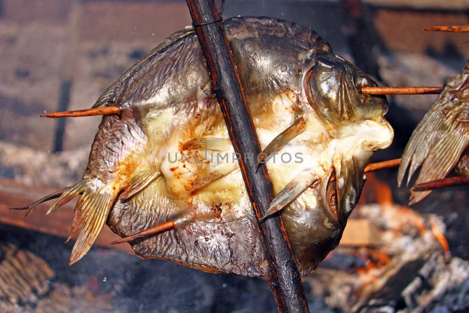 Roasting carp on a fire at a festival, carp on the jaw