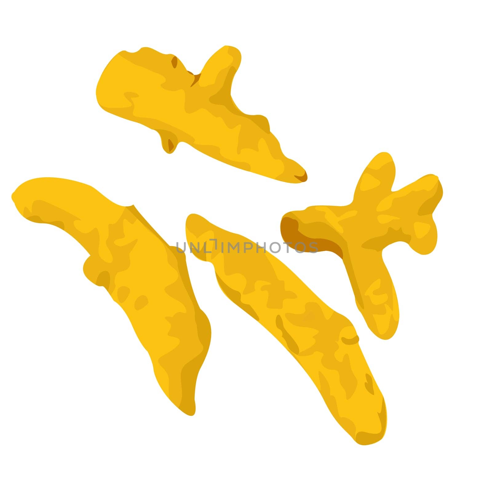 Turmeric roots vegan natural antibiotic food remedy vector illustration isolated on a white background