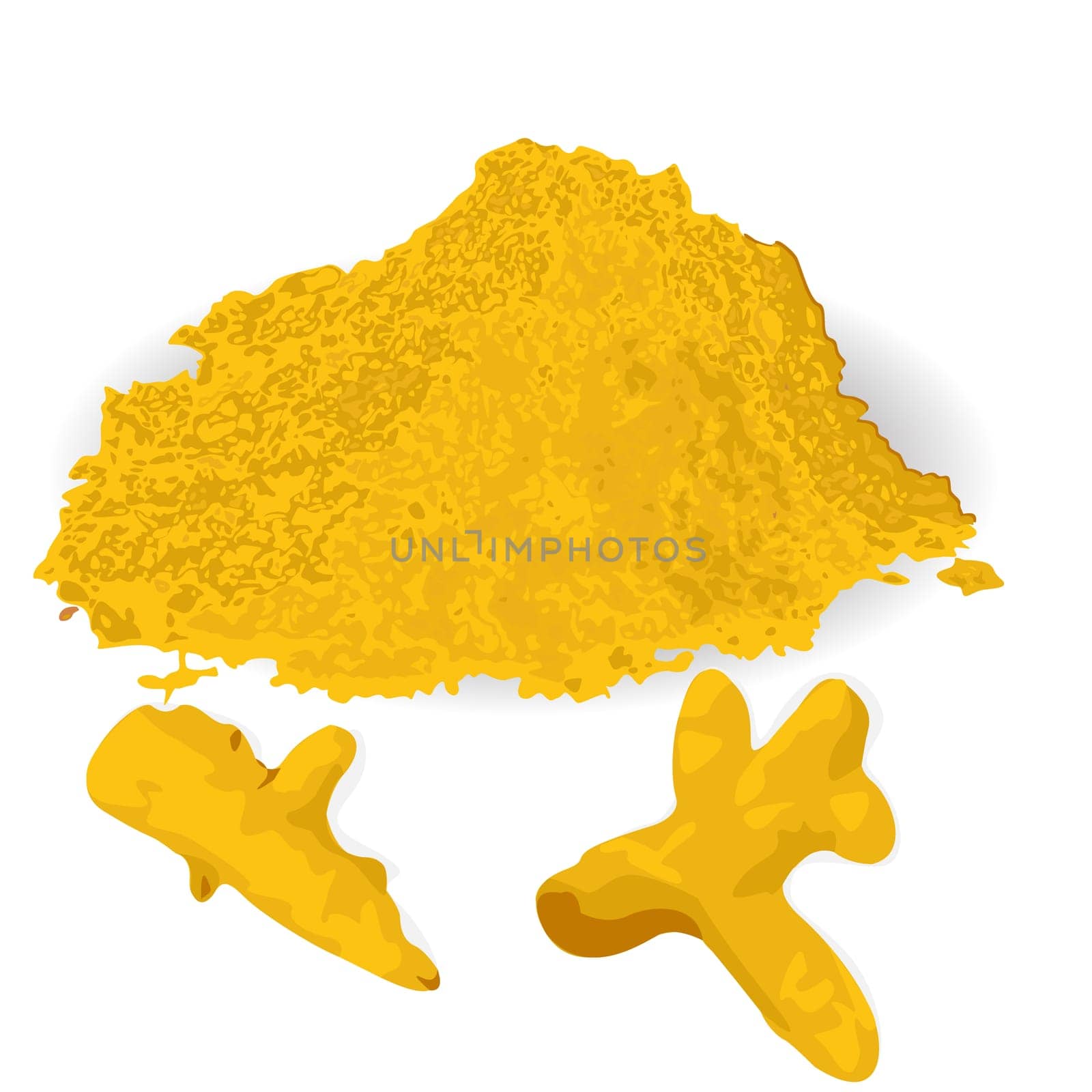 Turmeric roots and powder natural aromatic spice condiment vector illustration on a white background
