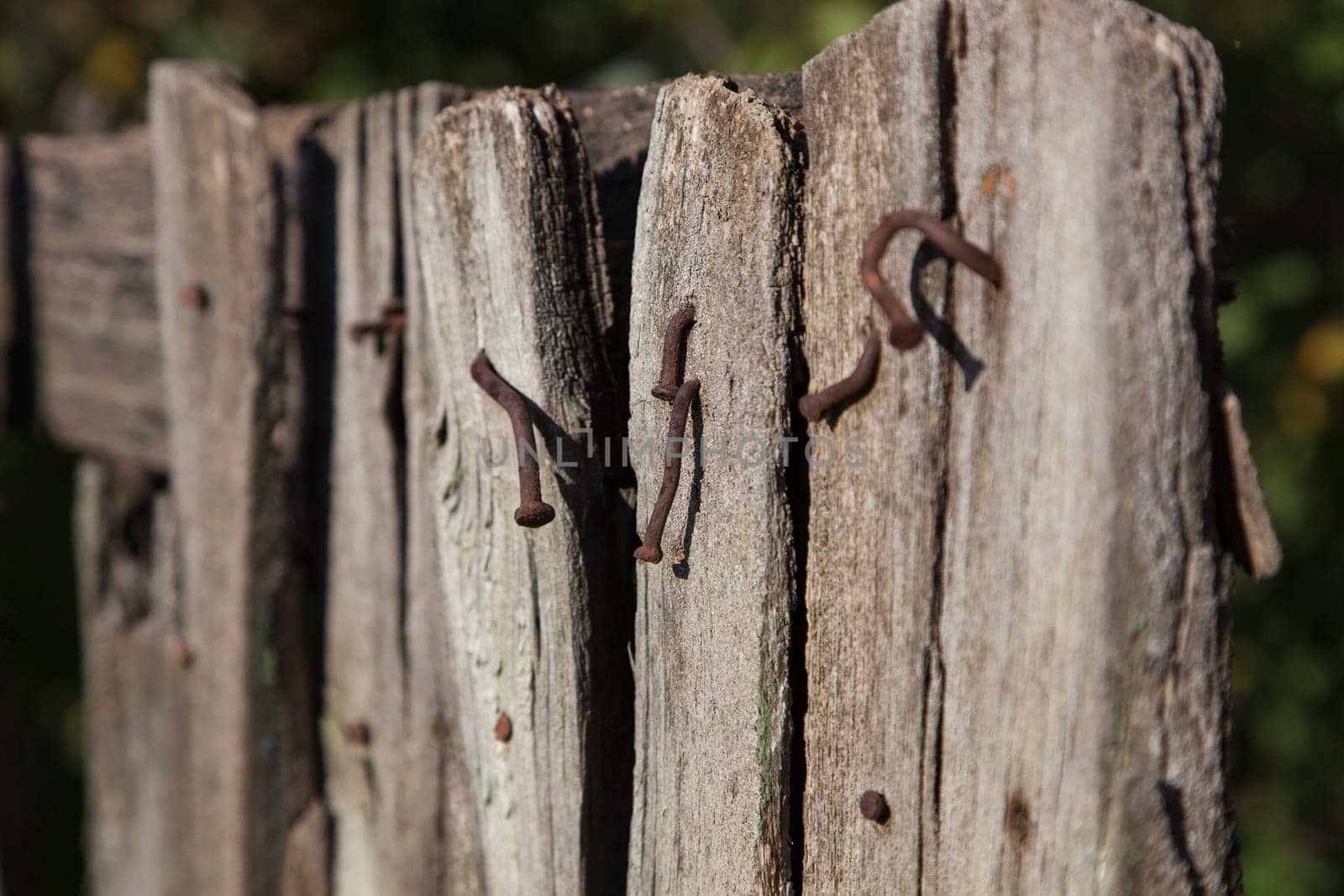 Part of the old worn-out wooden fence with rusty nails sticking out/&#208 &#161 loseup of old fence with nails
