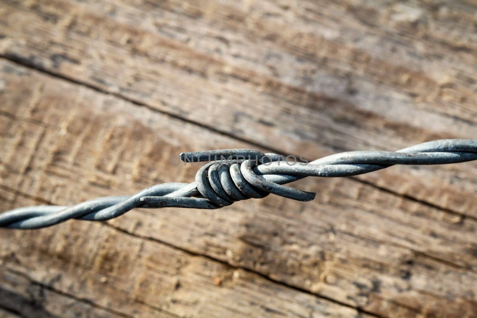 a detail of a barbed wire