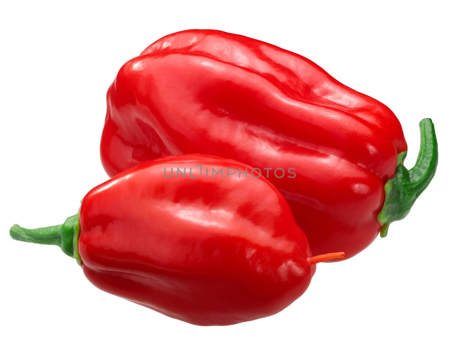 Zavory Habanero chile pepper (Capsicum chinense fruit), whole ripe pods