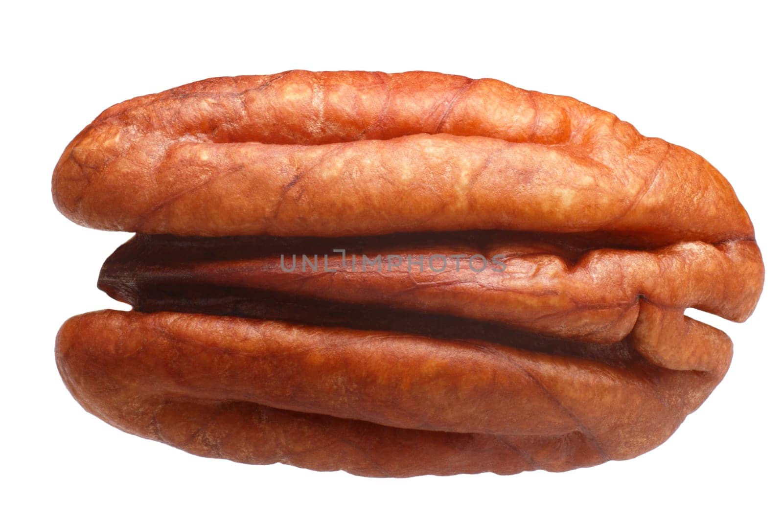 Pecan nut shelled half (Carya illinoinensis seed)