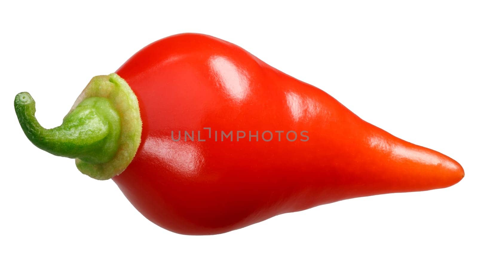 Chupetinho or Biquinho chile pepper (Capsicum chinense), fresh ripe pod