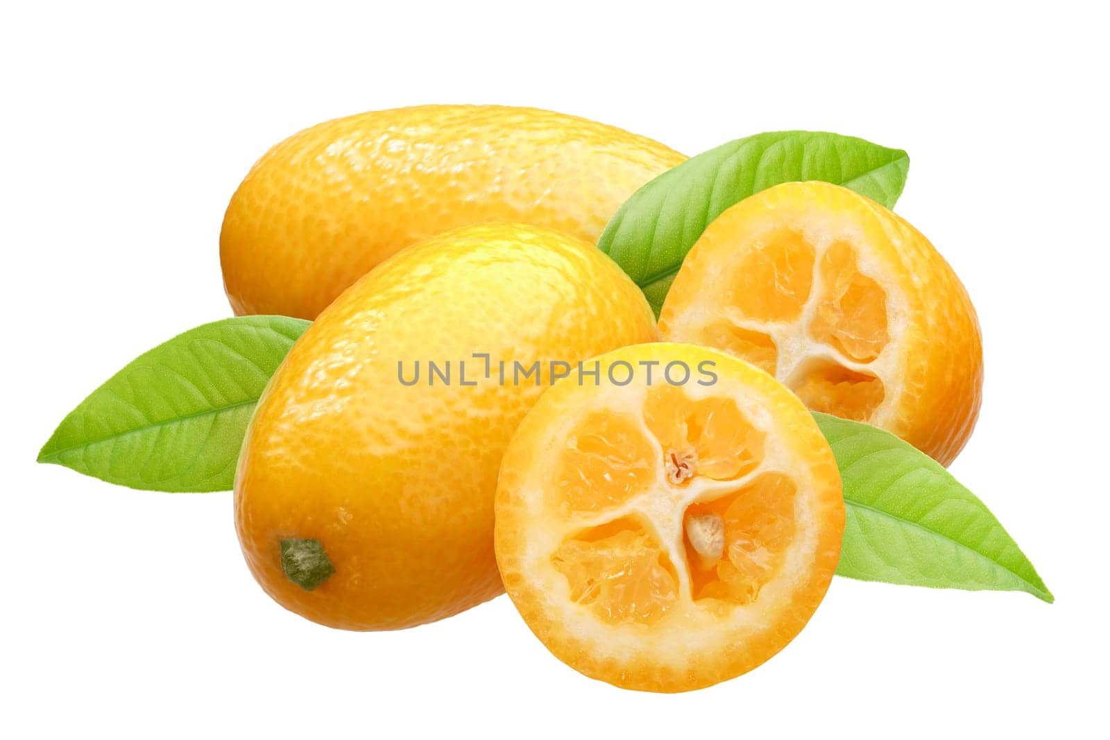 Kumquats (Citrus japonica fruits) group of four with leaves