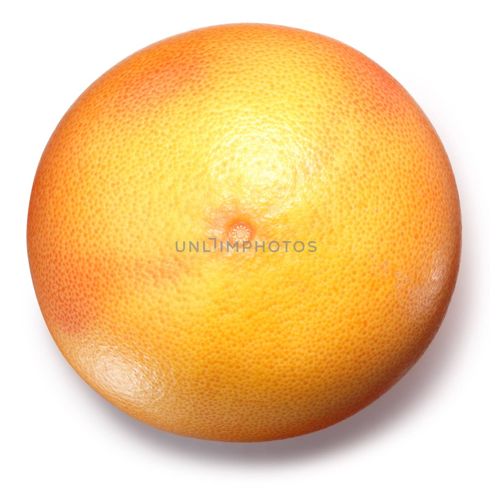 Grapefruit (Citrus x paradisi), whole fresh fruit, top view