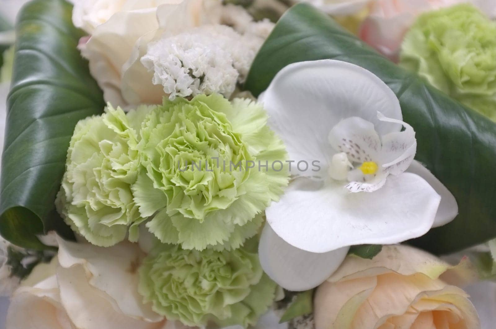 Abstract background of colorful flower . Nature background