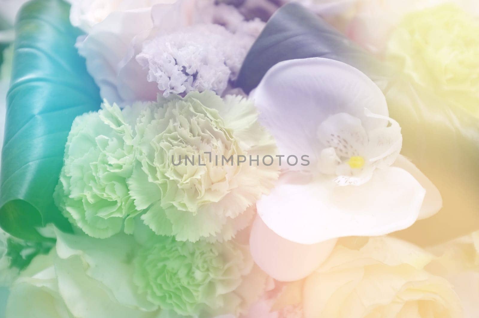 Abstract background of colorful flower . Nature background