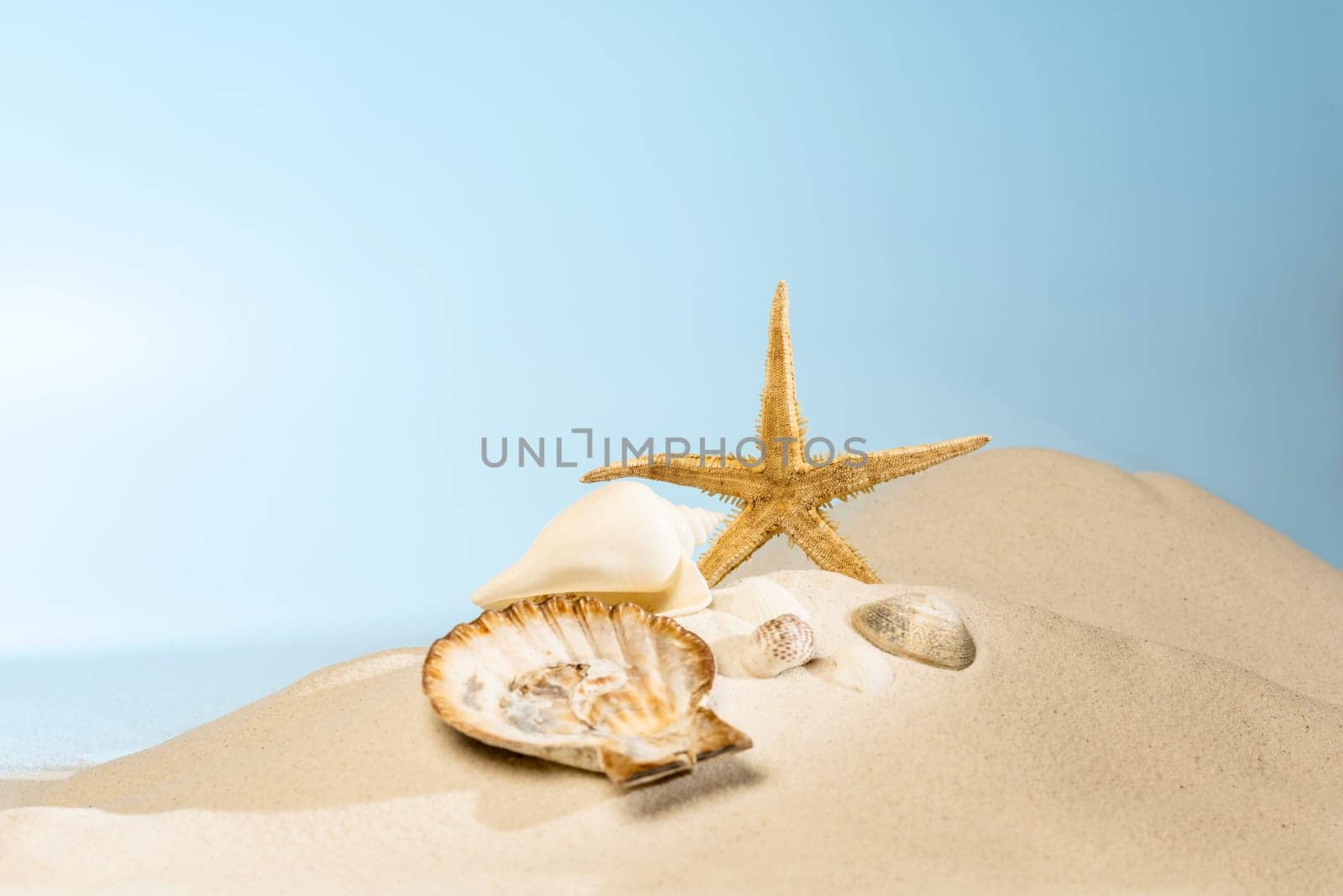 Close up view of shells on the sandy beach with blue sky background