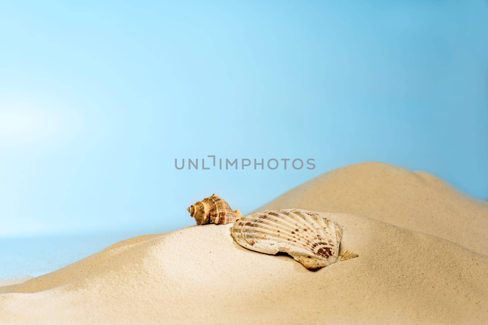 Close up view of shells on the sandy beach with blue sky background