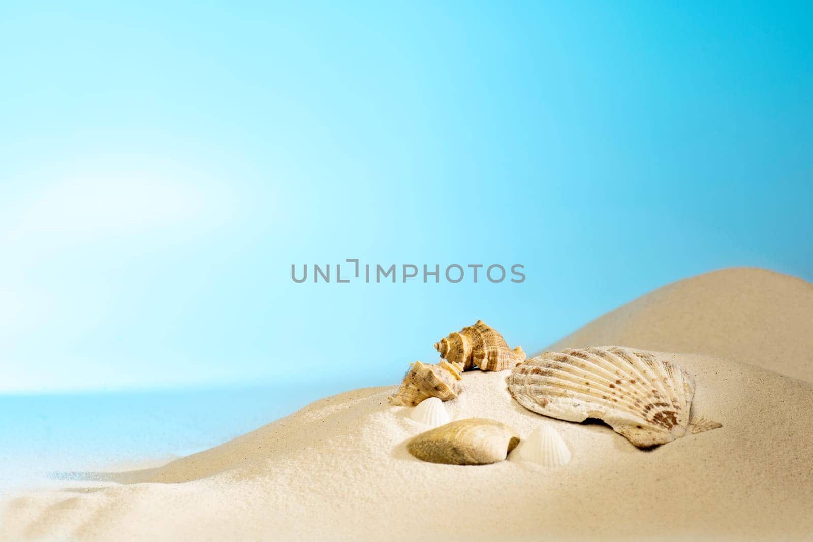 Close up view of shells on the sandy beach with blue sky background