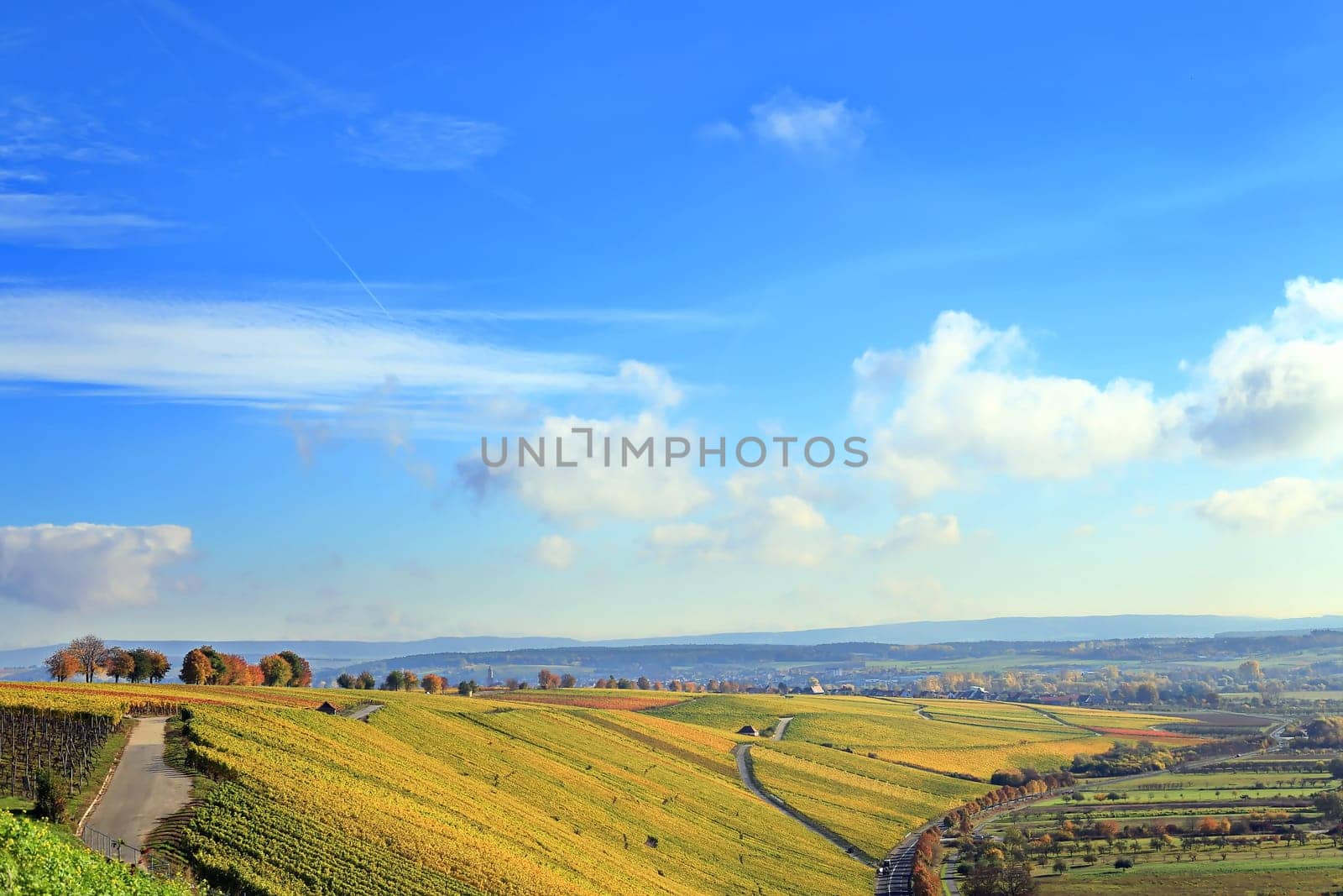 volkach is a well-known wine-growing region in Germany, Bavaria, Franconia