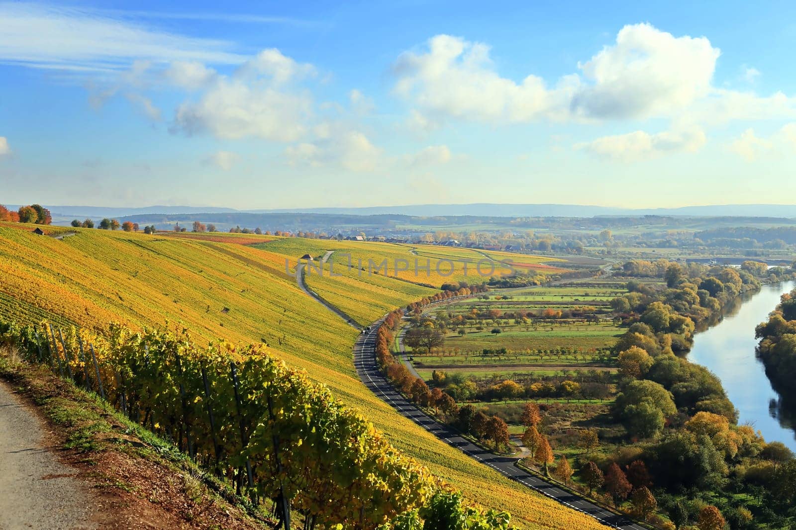 volkach is a well-known wine-growing region in Germany, Bavaria, Franconia