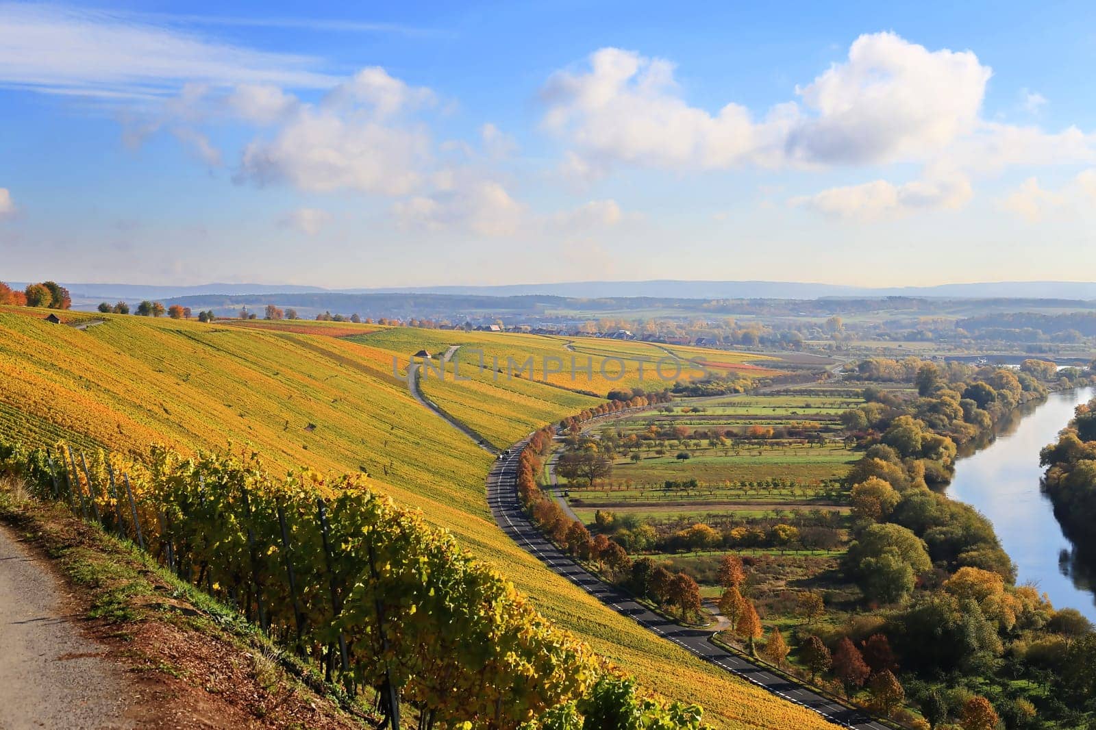 volkach is a well-known wine-growing region in Germany, Bavaria, Franconia