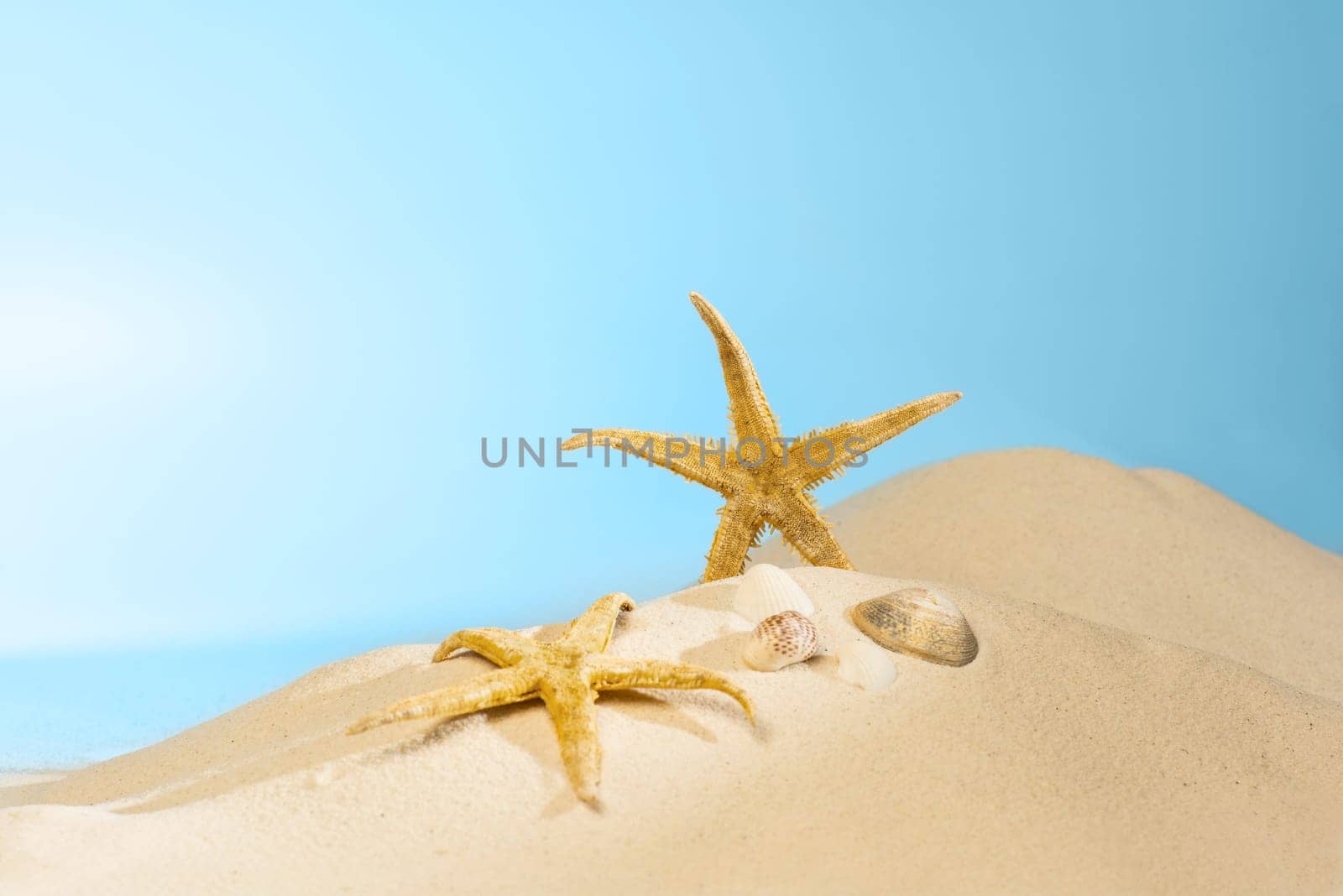 Close up view of shells on the sandy beach with blue sky background
