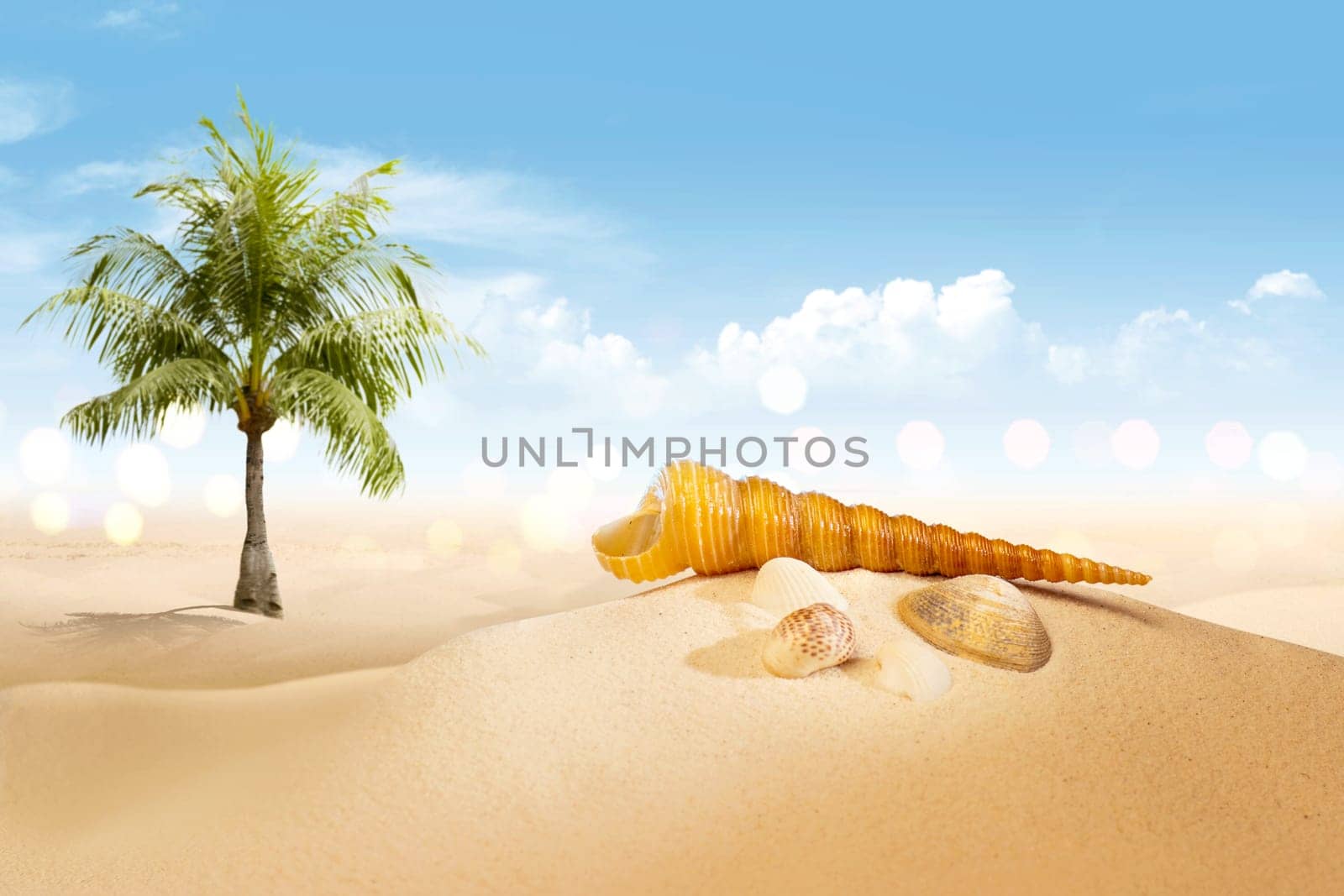 View of sandy beach with shells and palm tree over blue sky background