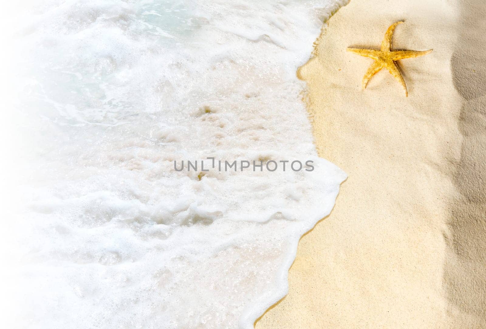 Top view of shells on the sandy beach with wave. Summer background