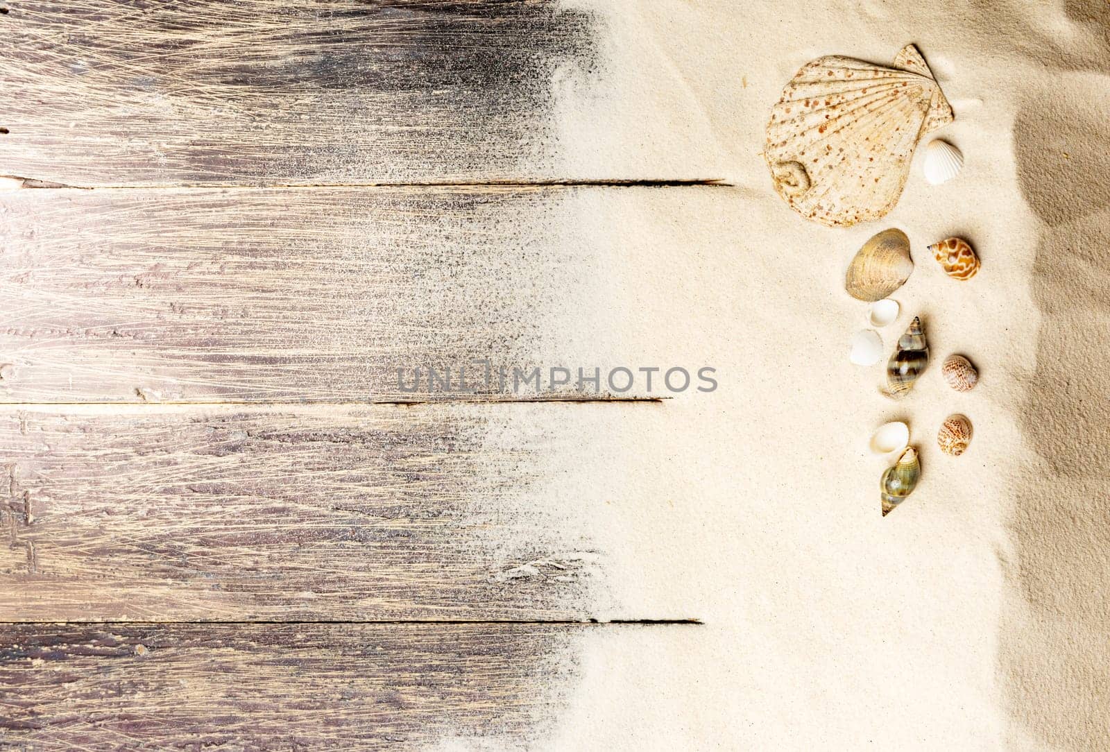 Top view of shells on the sand with wooden floor background