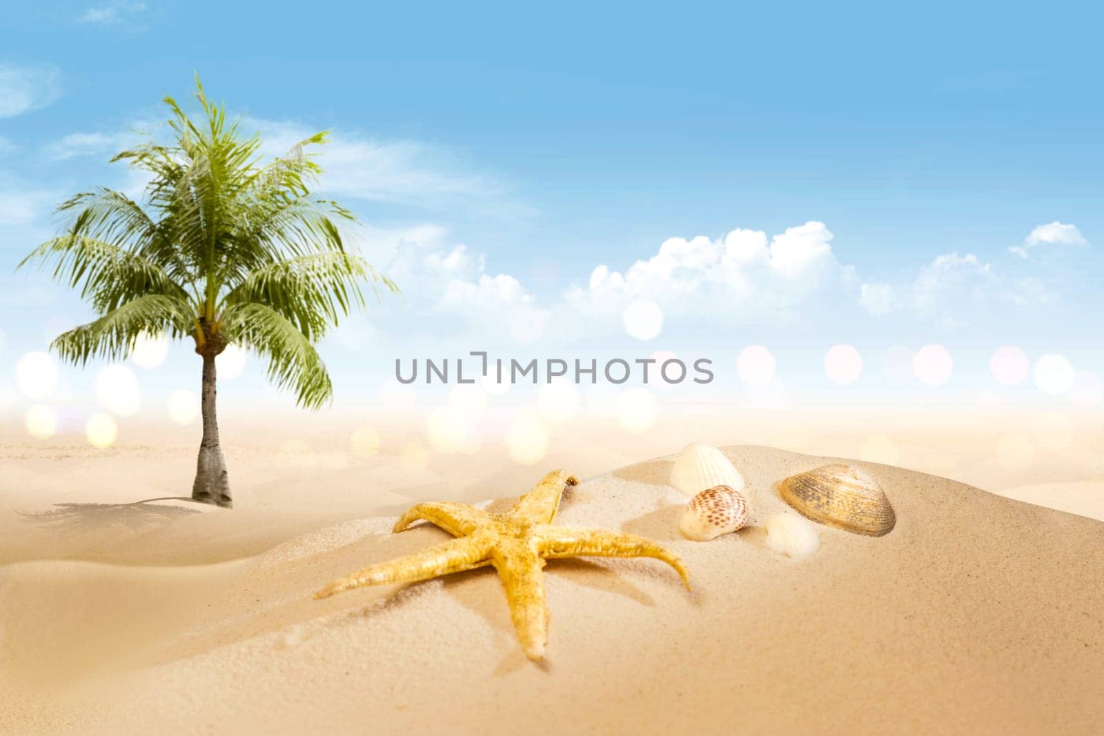 View of sandy beach with shells and palm tree over blue sky background