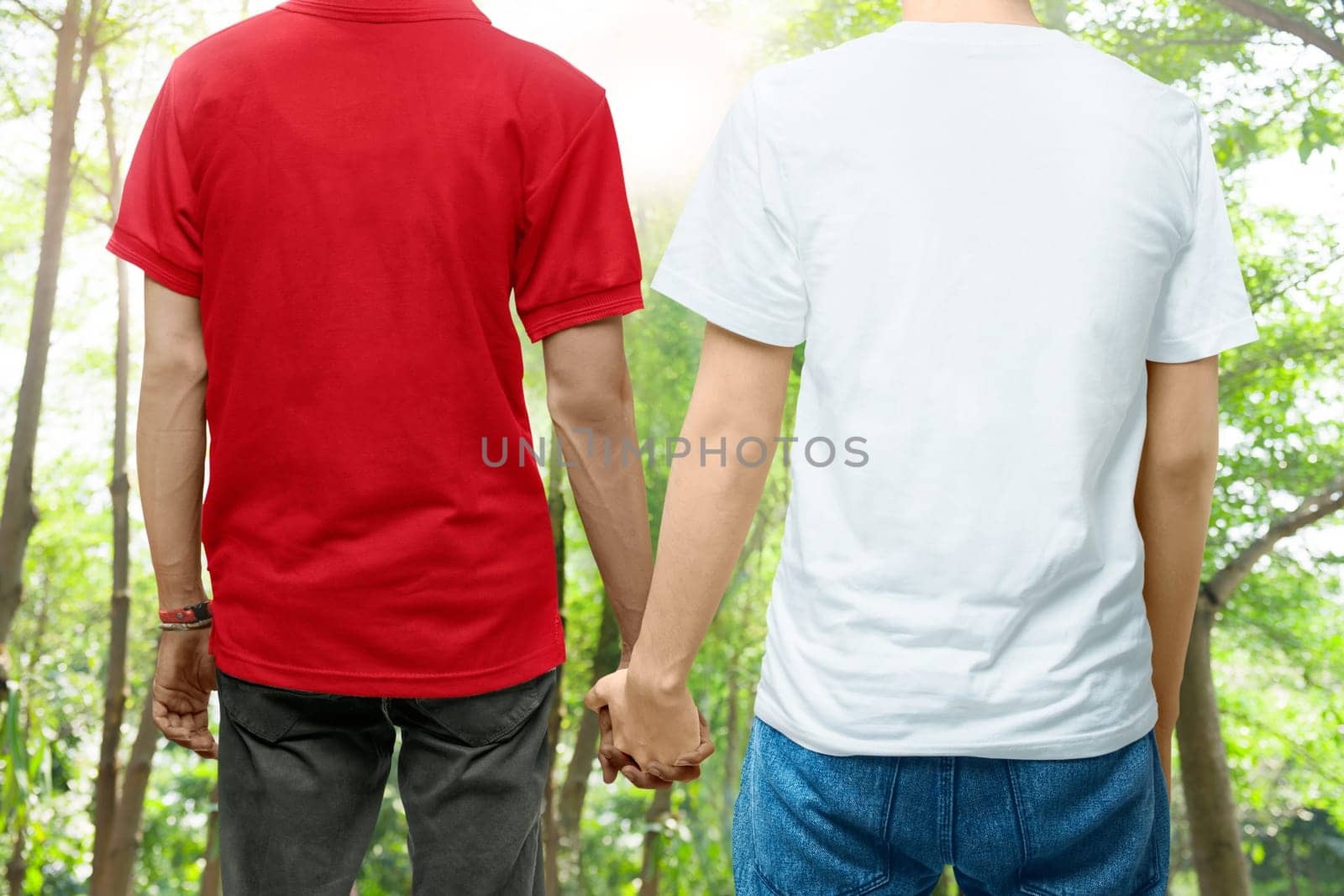 Rear view of gay couple holding hands together standing on the park. LGBT concept